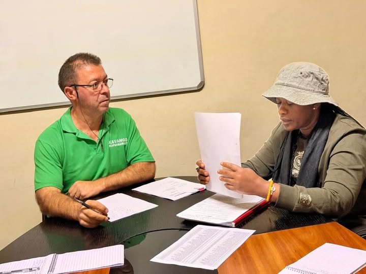 Constituency Case Consultation